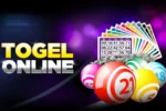 Master Online Togel Betting with Dewalive Togel