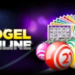 Master Online Togel Betting with Dewalive Togel